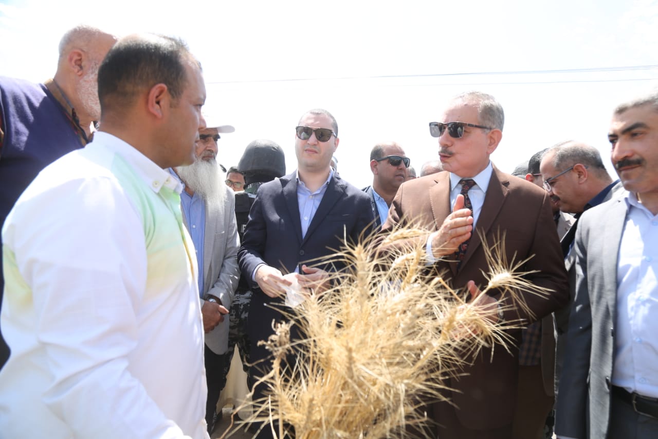تفقد محافظ كفر الشيخ لزراعات القمح