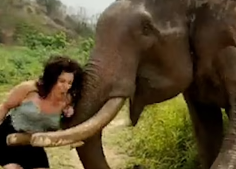 الفيل يدفع المرأة