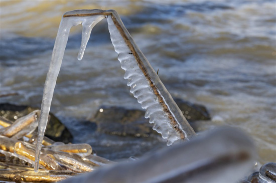 الجليد-يغلف-جذع-القصب-على-شاطئ-بحيرة-بالاتون-في-بالاتونفينيفيس
