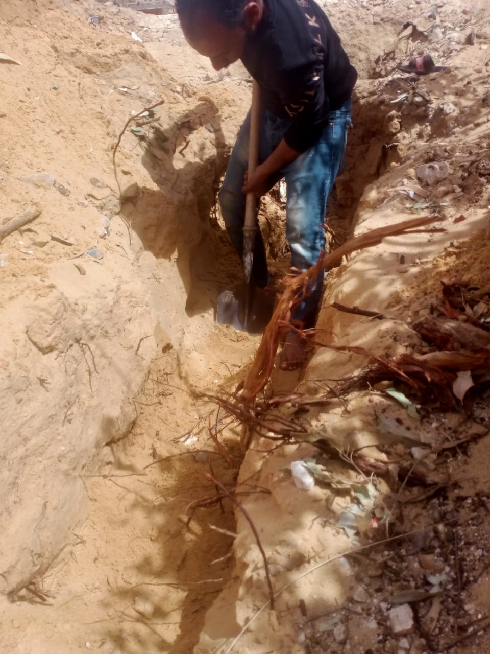 استخراج جذور الأشجار من الشبكات وإعادة ضخ مياه الشرب لـ 90 منزل بقرية التقدم بالإسماعيلية (3)