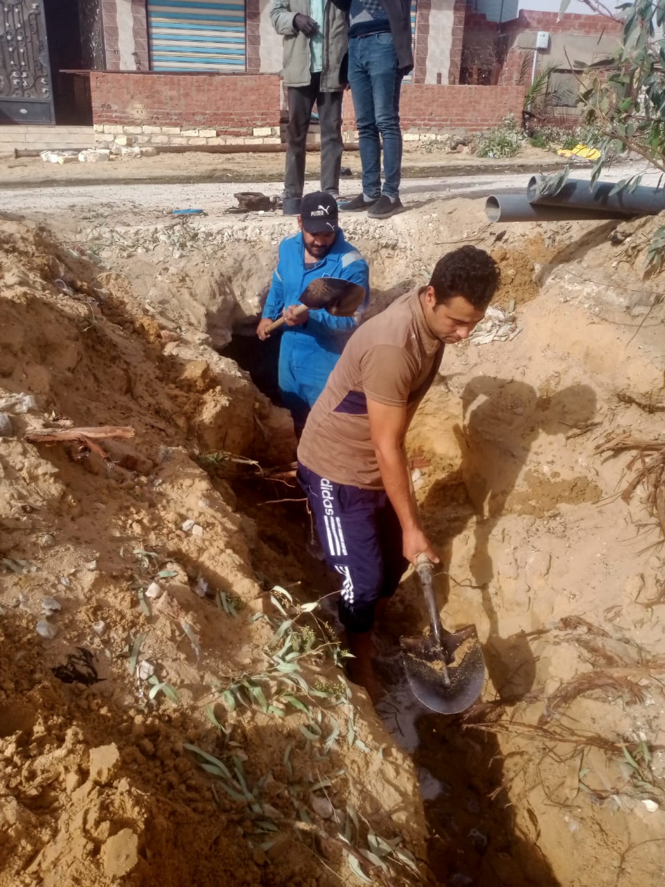 استخراج جذور الأشجار من الشبكات وإعادة ضخ مياه الشرب لـ 90 منزل بقرية التقدم بالإسماعيلية (7)