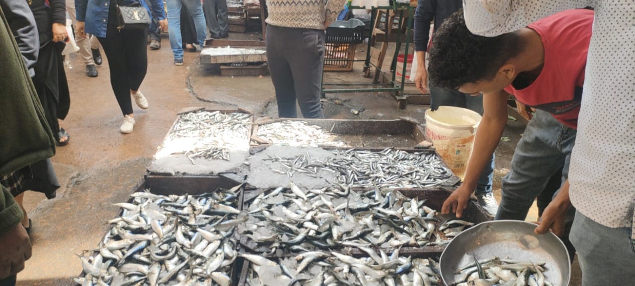 السردين والبساريا البلدي في الاسكندرية