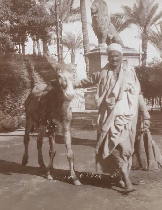 صورة من أمام كوبري قصر النيل بالقاهرة عام 1901م