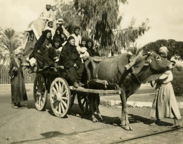 صورة من ميدان الجيزة عام 1945م