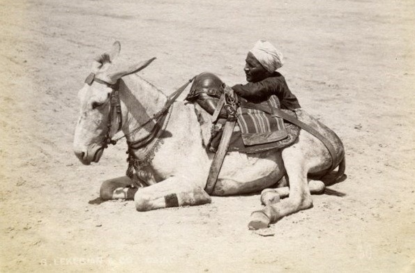صورة لمكارى وقت الراحلة فى القاهرة حوالى عام 1893م
