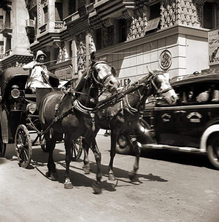 القاهرة 1947