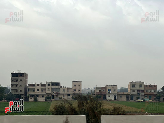 اجواء شتوية على المناطق الزراعية (4)