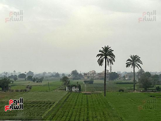 اجواء شتوية على المناطق الزراعية (1)