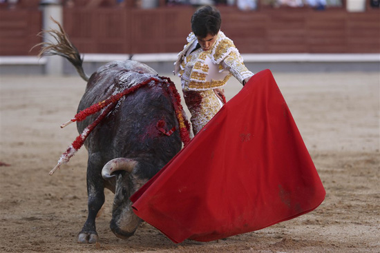 مصارعة الثيران فى إسبانيا (4)