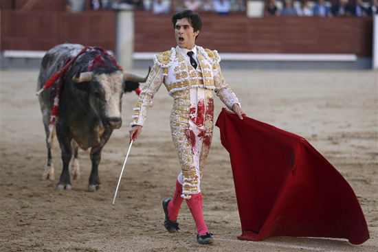 مصارعة الثيران فى إسبانيا (9)