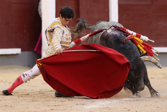 مصارعة الثيران فى إسبانيا (1)
