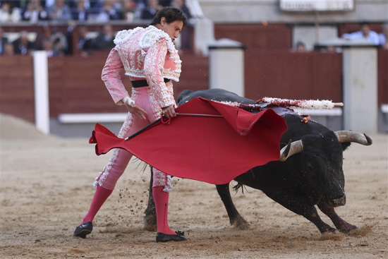 مصارعة الثيران فى إسبانيا (7)