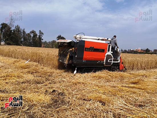 الآلة-الحديثة-أثناء-الحصاد-(3)