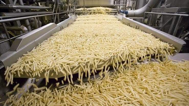 مصنع بطاطس نصف مقلية بالعوينات