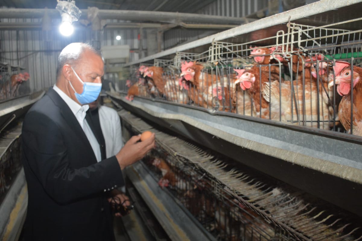 محافظ القليوبية يتفقد مشروع الـ 30 مليون بيضة بالخانكة (4)