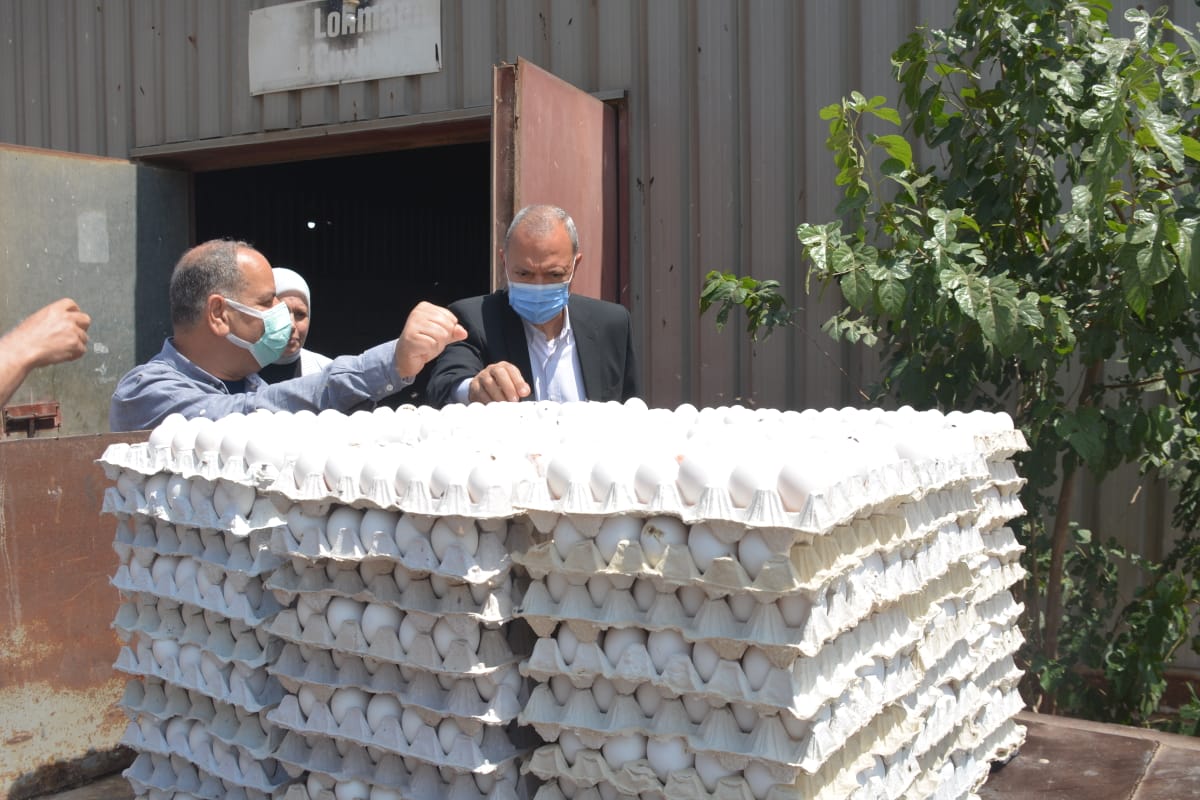 محافظ القليوبية يتفقد مشروع الـ 30 مليون بيضة بالخانكة (8)
