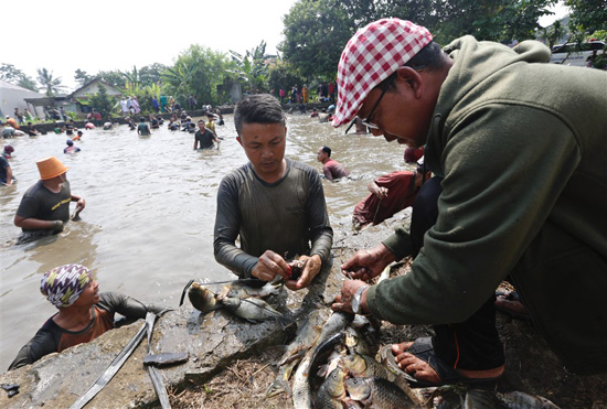 مهرجان صيد الأسماك فى إندونيسيا (4)