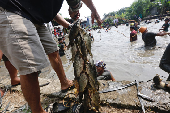 مهرجان صيد الأسماك فى إندونيسيا (2)