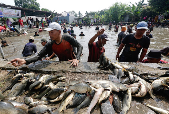 مهرجان صيد الأسماك فى إندونيسيا (5)