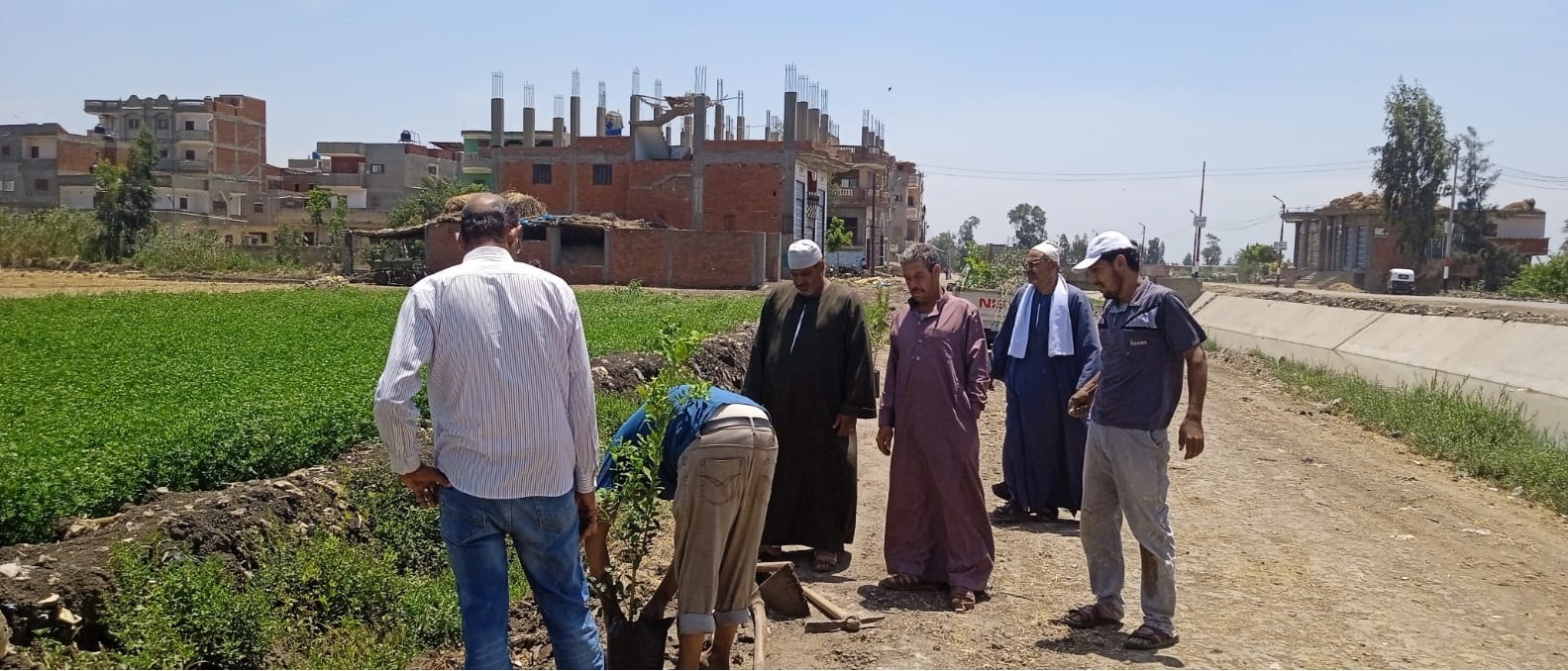 زراعة الاشجار المثمرة بقرية بقلين