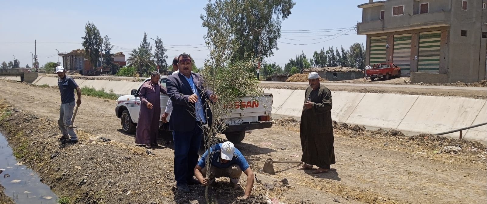 زراعة الاشجار المثمرة بقلين