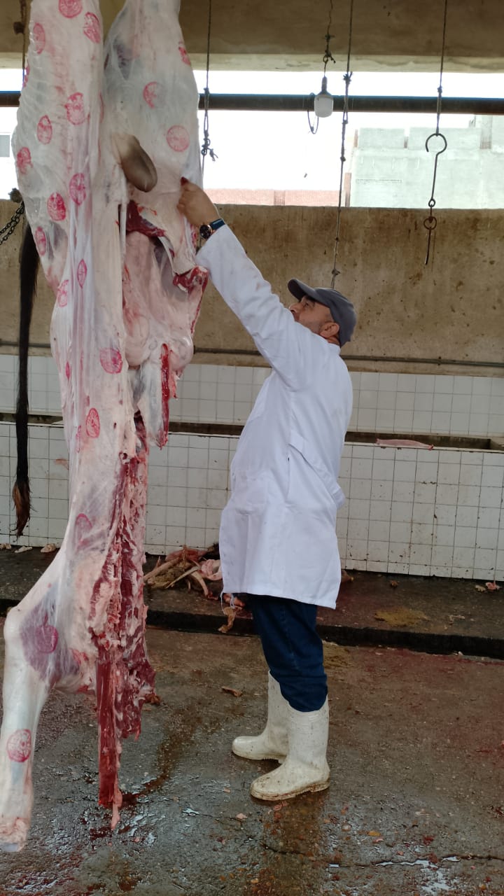 متابعة ذبح اللحوم بالمجازر