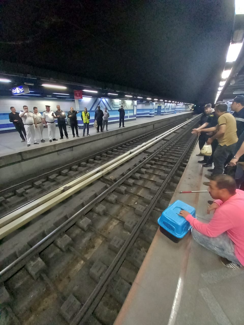 انقاذ قطة من الموت على قضبان المترو (1)