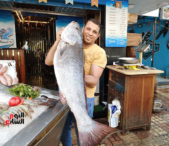 سمك-اللوت-كبيرة-الحجم-في-الاسكندرية