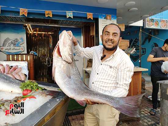 سمك-اللوت-كبيرة-الحجم---في-الاسكندرية