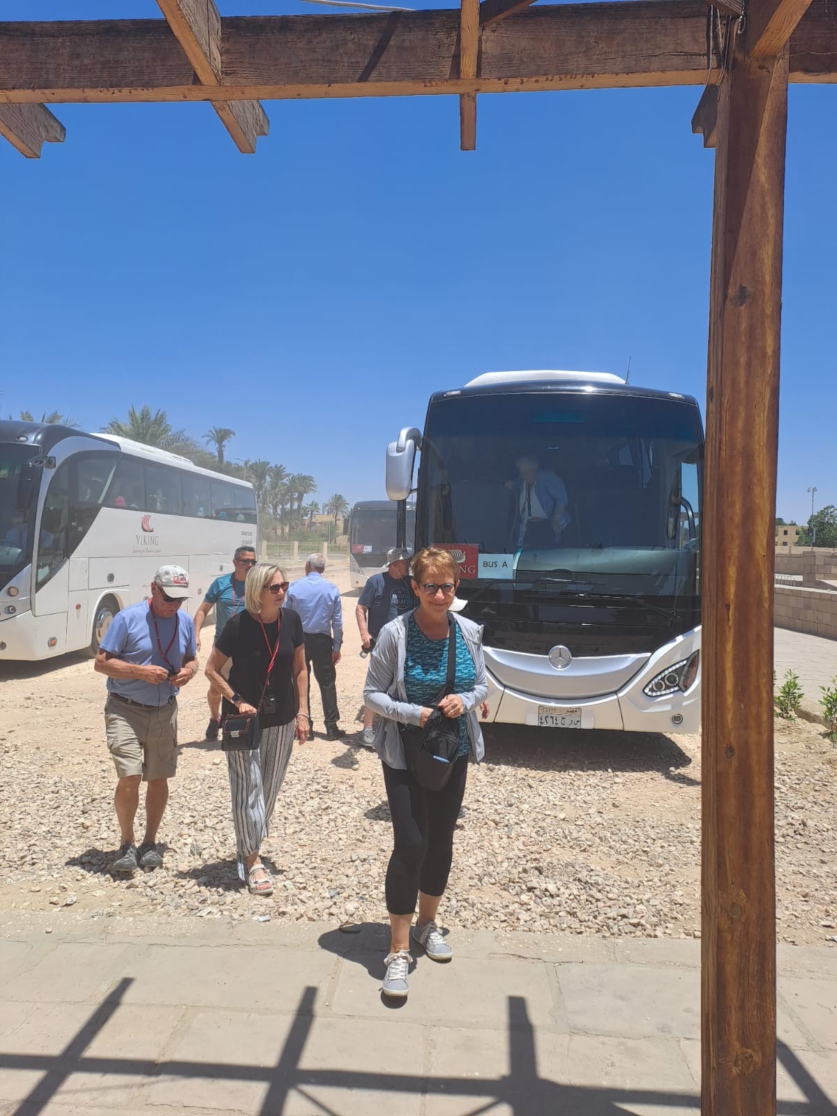 السياح خلال زيارتهم لطريق الكباش خلف المكتبة بالكرنك