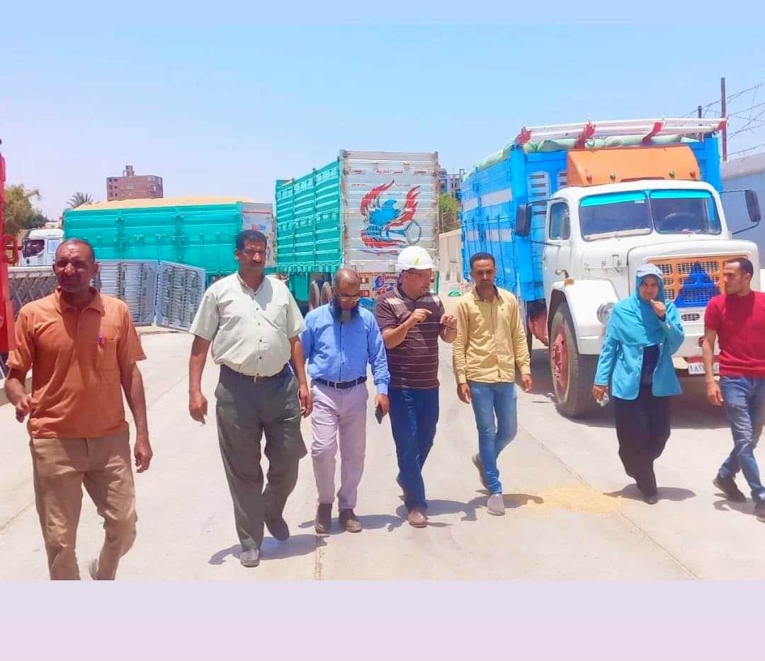 توريد 52 ألف طن قمح لشون وصوامع سوهاج (5)