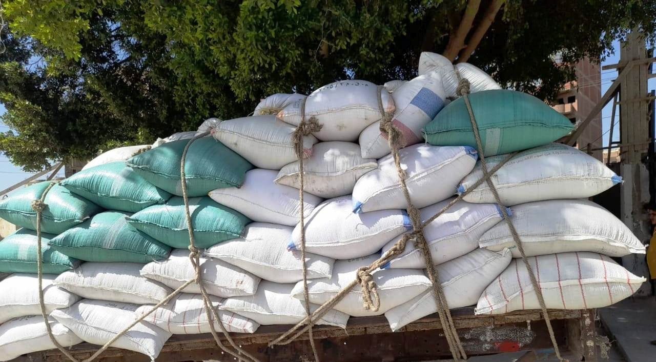 توريد 52 ألف طن قمح لشون وصوامع سوهاج (3)