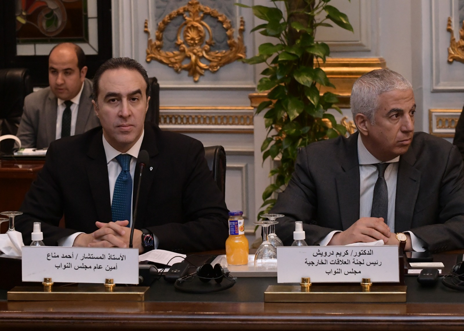 رئيس مجلس النواب يلتقى بسفراء الدول الأفريقية المُعتمدين لدى مصر (7)