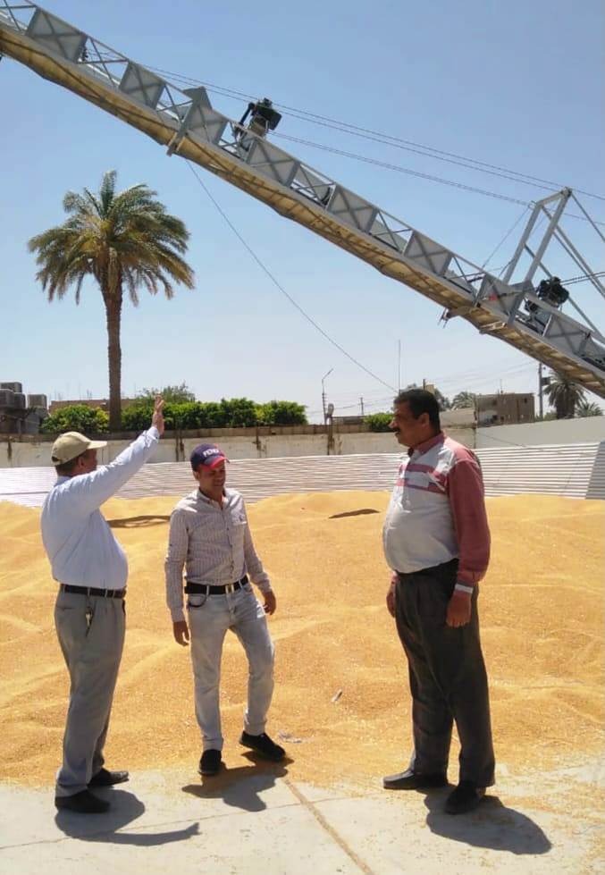 توريد 52 ألف طن قمح لشون وصوامع سوهاج (2)