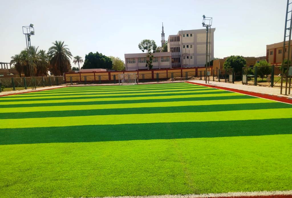 مشروعات حياة كريمة فى أسوان (6)