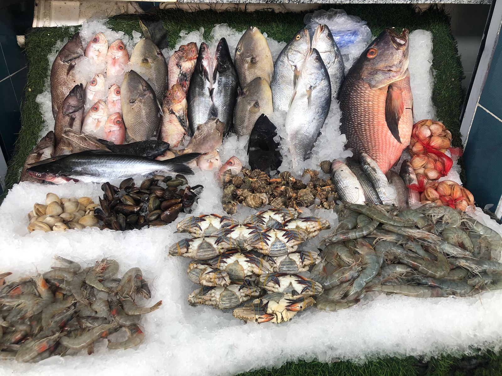 سوق السمك الحضارى الجديد بالمنيب (3)
