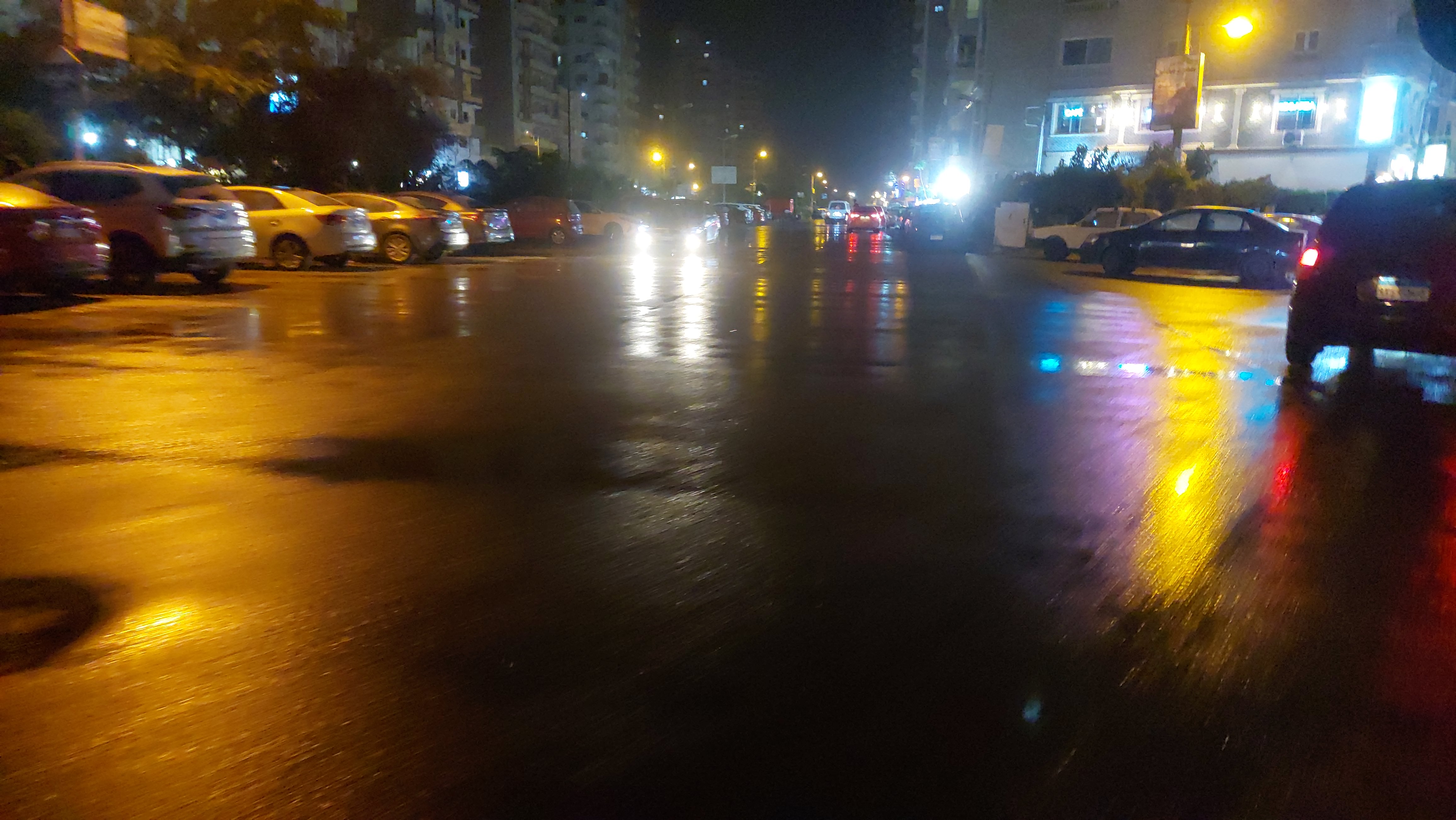 سقوط أمطار متوسطة بمحافظة الغربية (4)