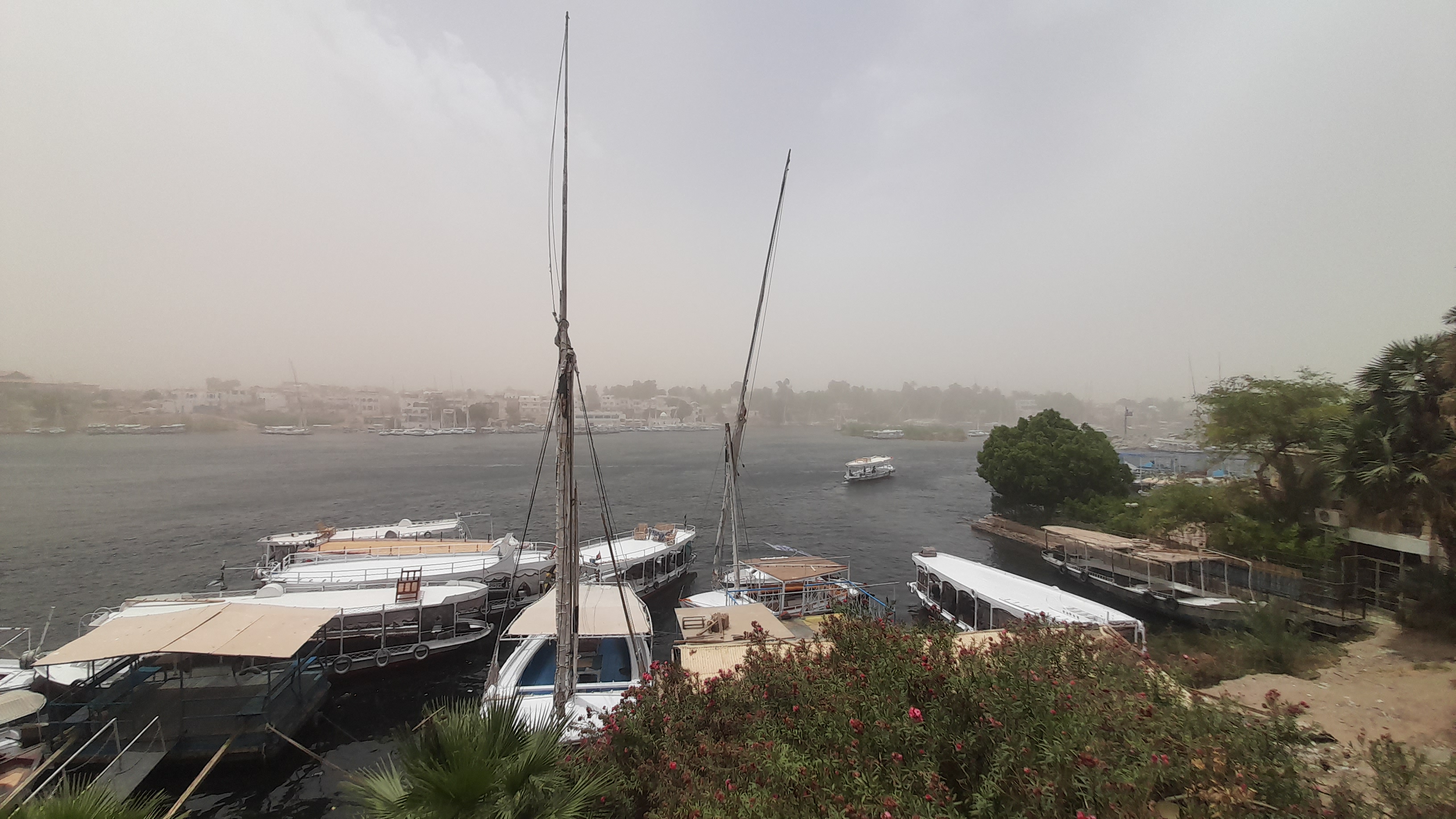 عاصفة ترابية تصل مدينة أسوان وتعطل حركة البواخر السياحية (2)
