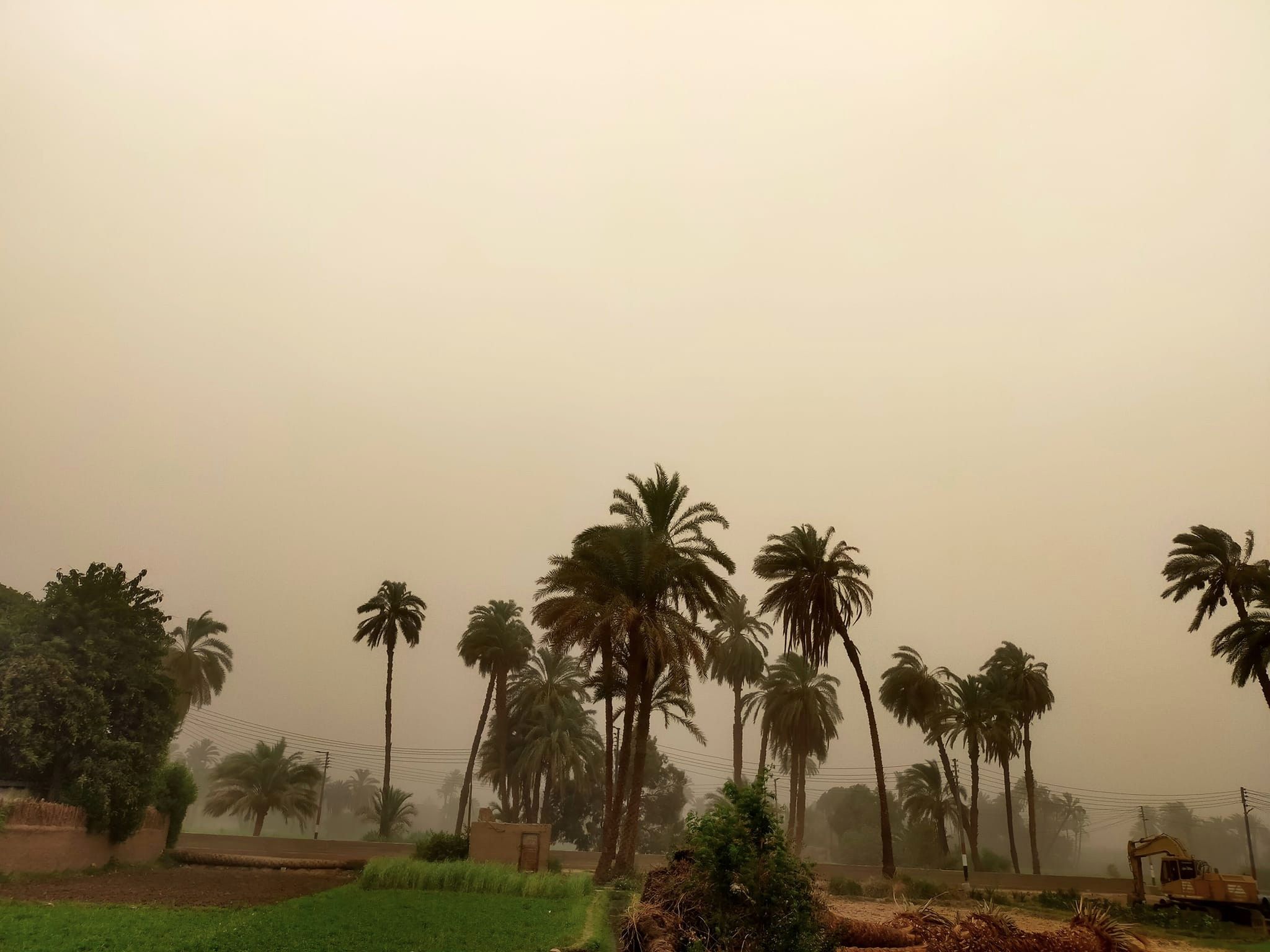 عاصفة ترابية خفيفة تضرب محافظة الأقصر