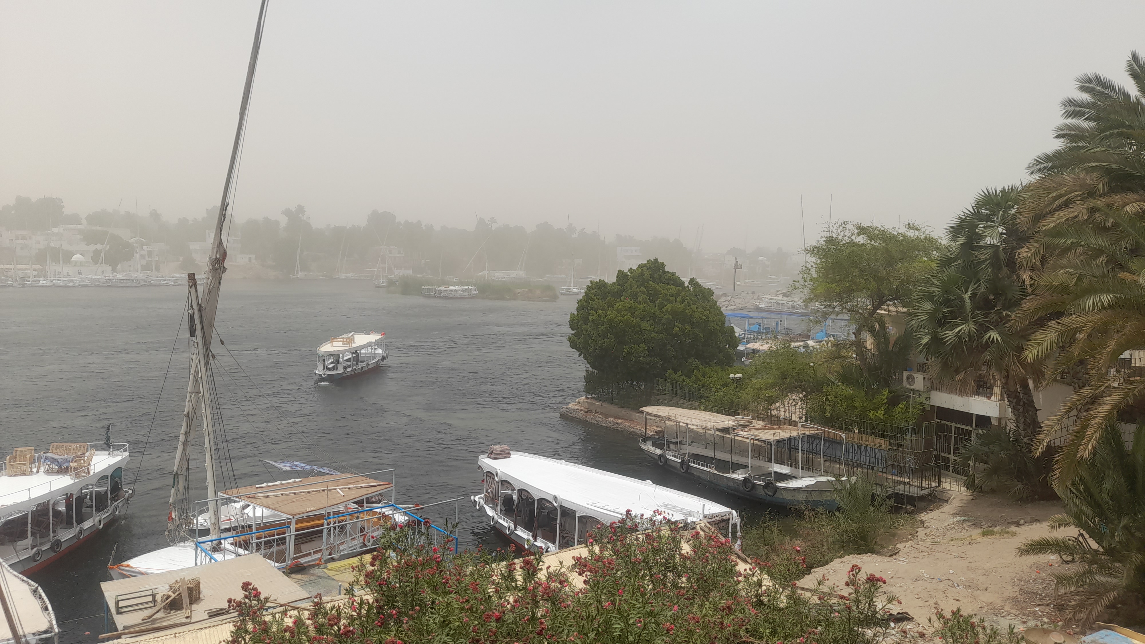 عاصفة ترابية تصل مدينة أسوان وتعطل حركة البواخر السياحية (5)