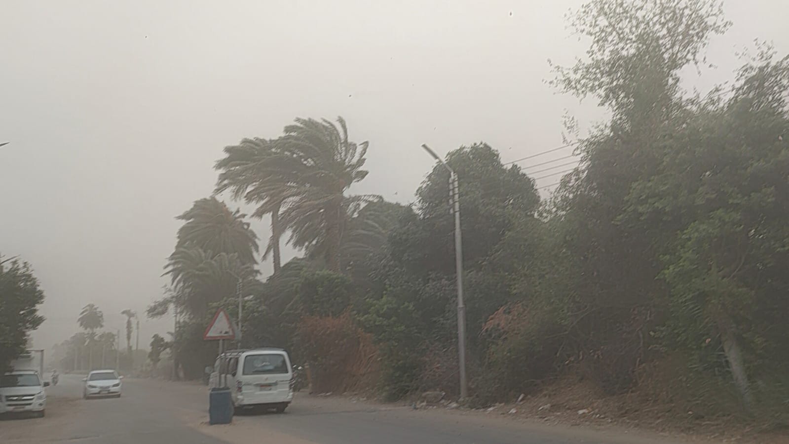طقس سئ وعواصف ترابية فى سوهاج (2)