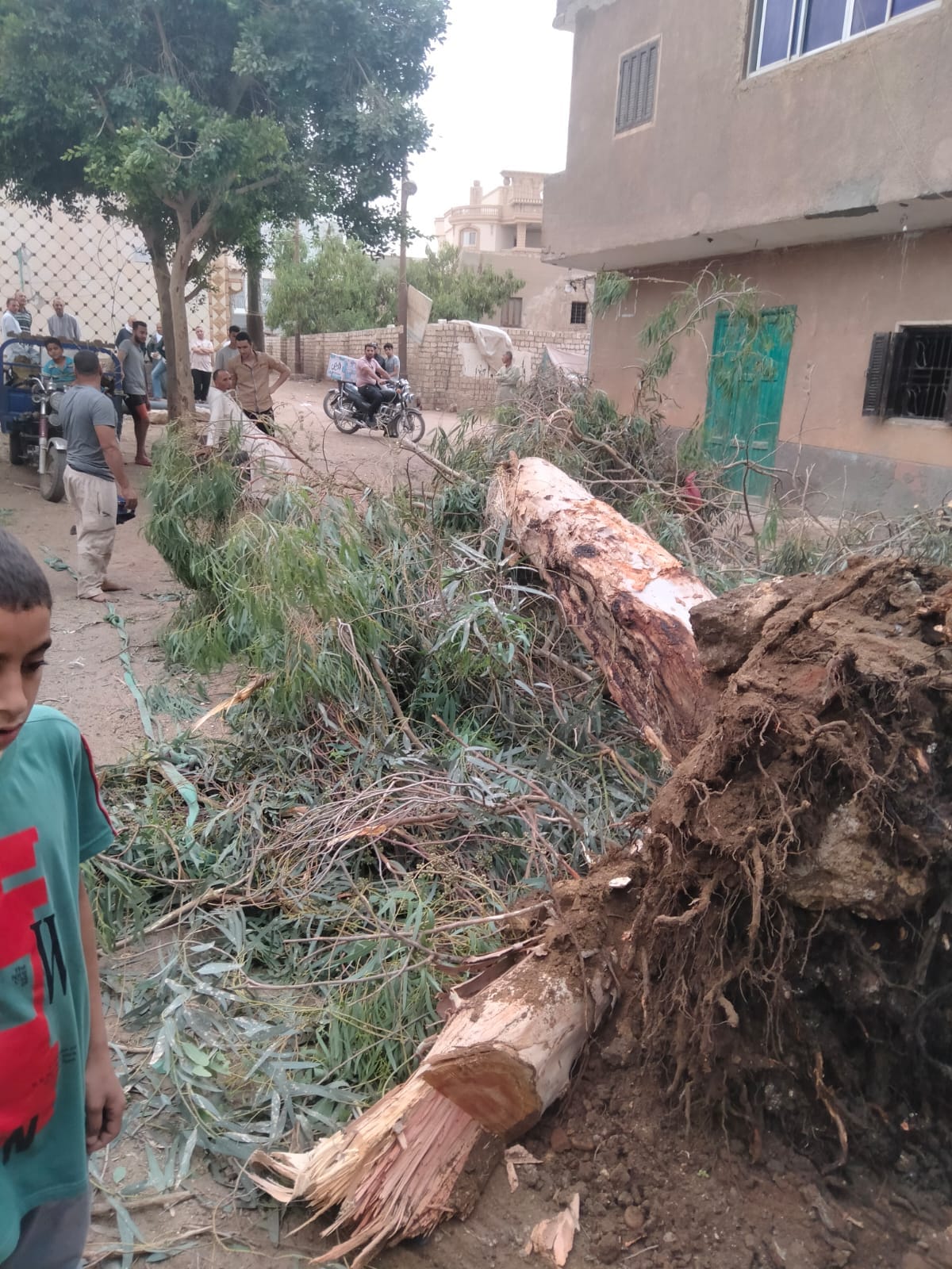 سحب تجمعات مياه الأمطار في مركز أبو قرقاص وفتح الطرق وصيانة الأعطال بمركز بني مزار (2)