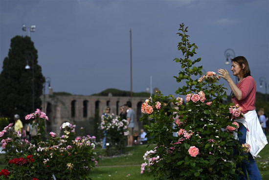 الموطنون يستمتعون بالزهور فى حديقه روما   (1)