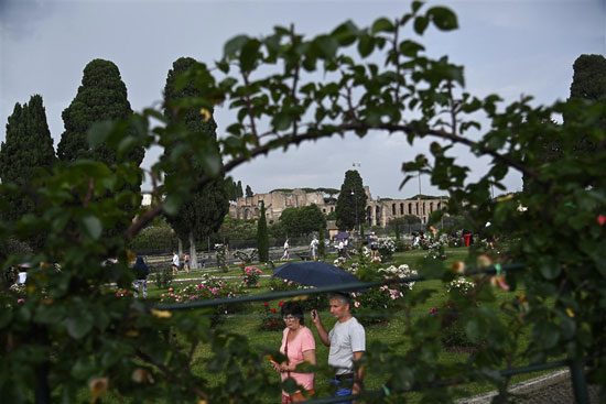 مسابقه الزهور الحديثه فى حديقه روما بايطاليا  (1)