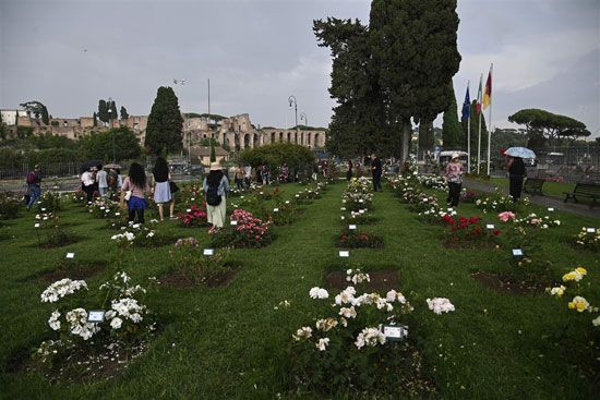 الموطنون يستمتعون بالزهور فى حديقه روما   (3)