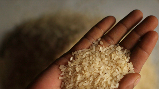 استخدامات الأرز