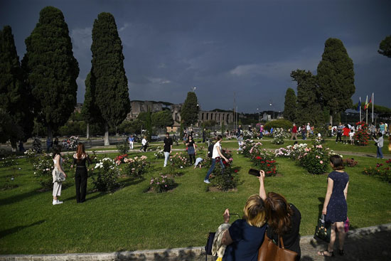 الموطنون يستمتعون بالزهور فى روما