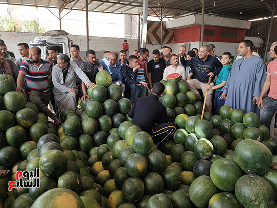 اقبال-كبير-على-شراء-البطيخ-في-الإسكندرية