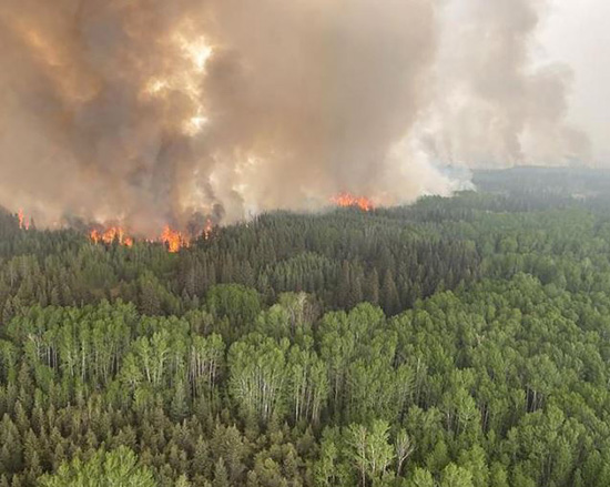 حرائق غابات كندا (6)