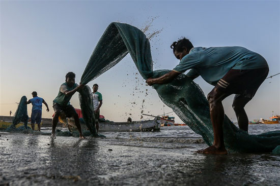 صياد هندى يقوم بتنظيف الشباك  (1)